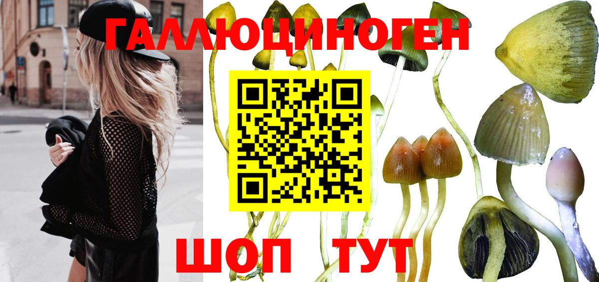Псилоцибиновые грибы Psilocybine cubensis  Вход с VPN  Псилоцибиновые грибы ЛСД  Волгоград 